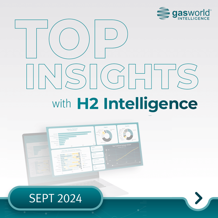 monthly-insights-september-2024