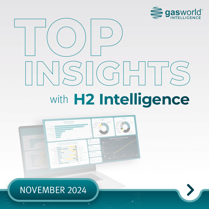 monthly-insights-november-2024